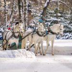 лошади, пони, кареты, конные экипажи на любой снежный праздник